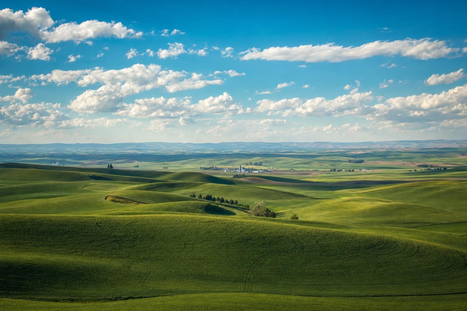 Pullman, United States