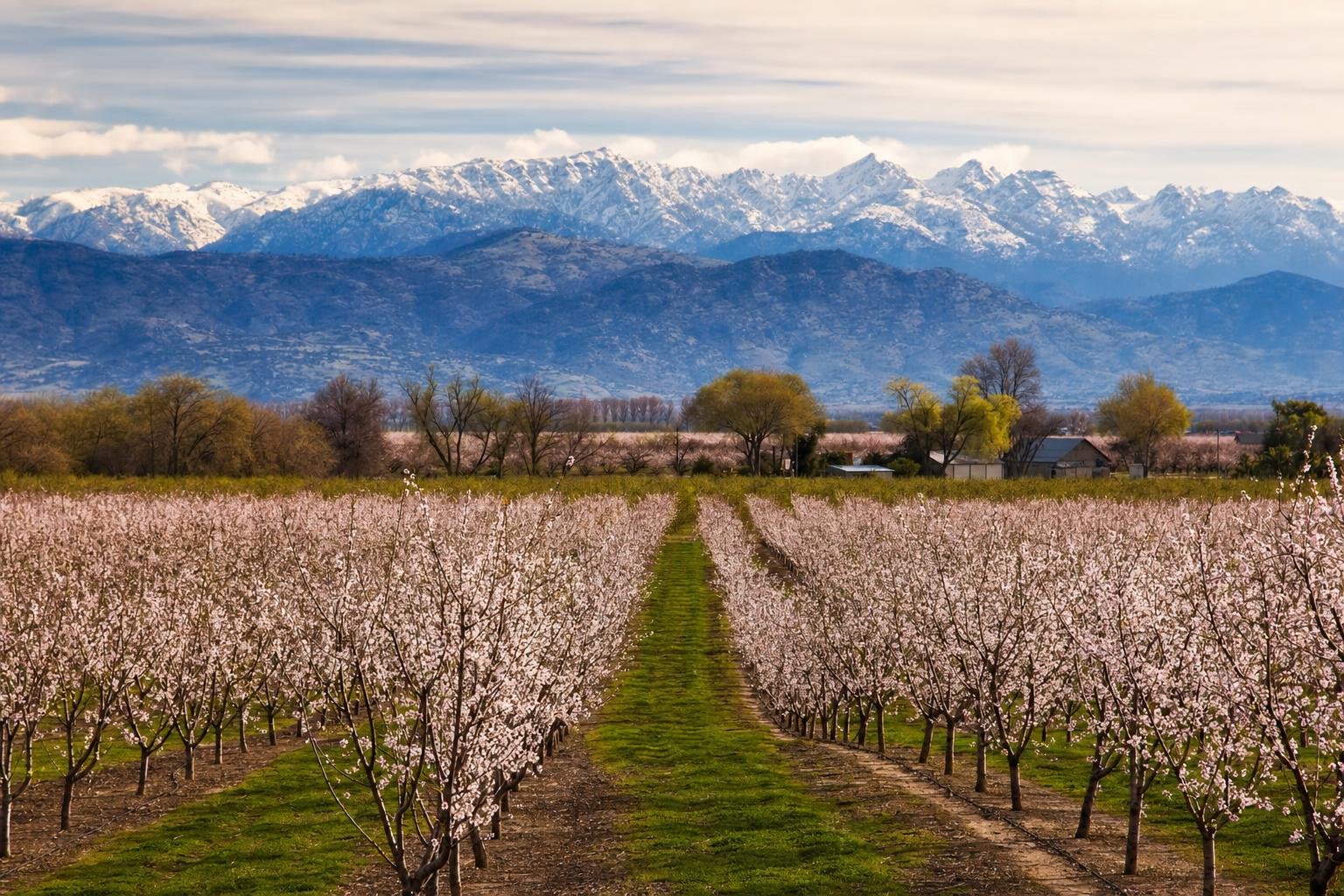 Fresno, United States